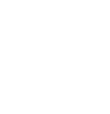 Cybercrow